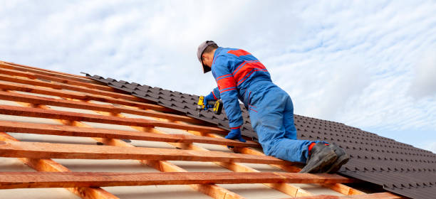 Best Roof Insulation Installation  in Kalkaska, MI